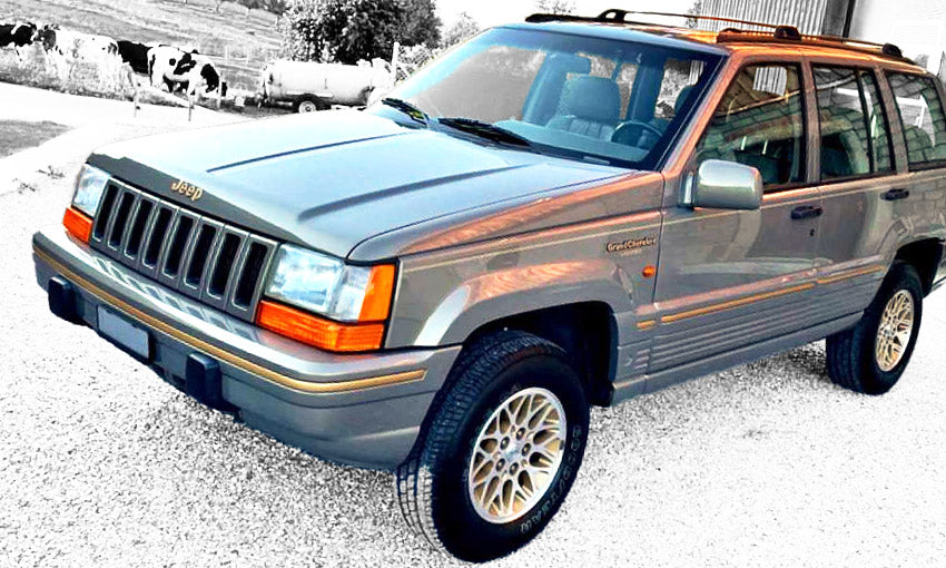 1995 Jeep Grand Cherokee 4.0L Gas